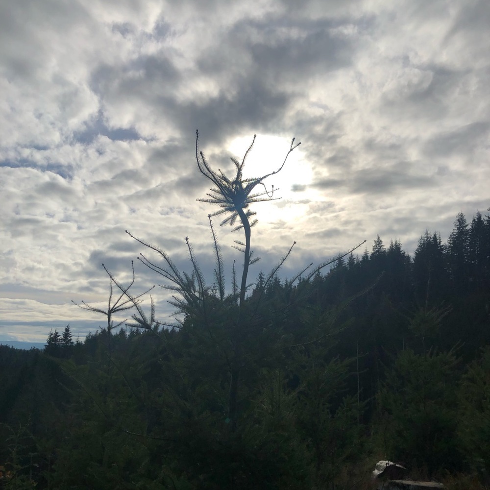 Meet your Posher, Hayley